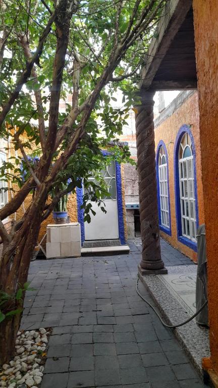 Zahrada ubytování Posada Casa Sofía