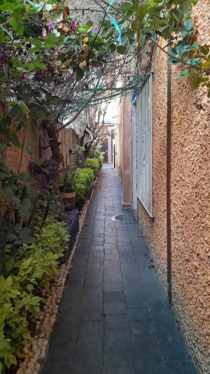 Zahrada ubytování Posada Casa Sofía