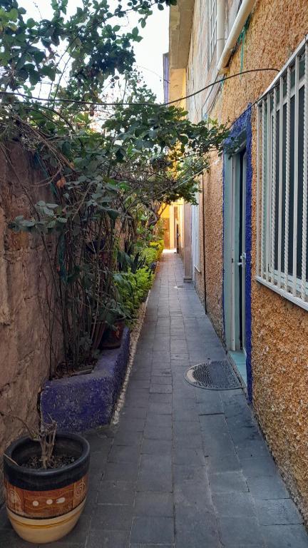 Fotografie z fotogalerie ubytování Posada Casa Sofía v destinaci Huichapan