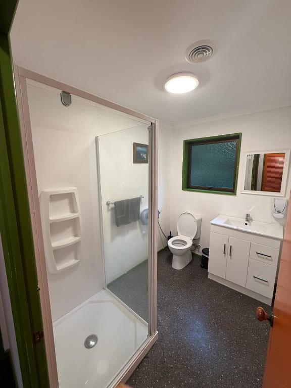 un bagno con doccia, WC e lavandino di The Whistling Frog Resort a Chaslands
