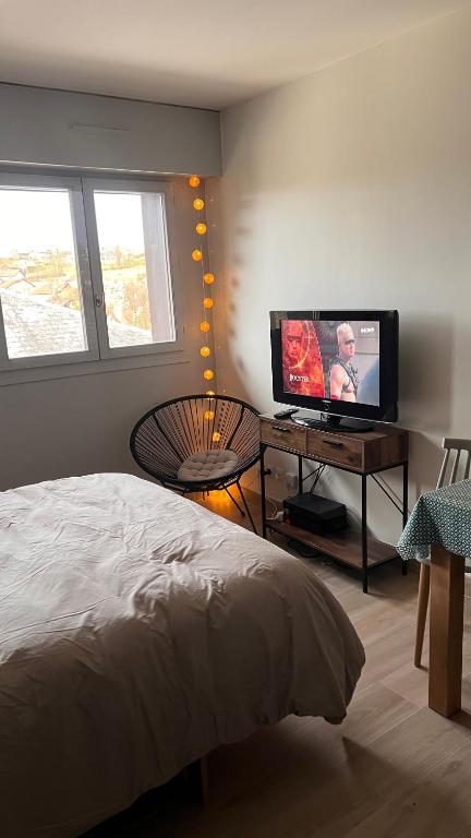 TV a/nebo společenská místnost v ubytování Studio entre lacs et montagnes