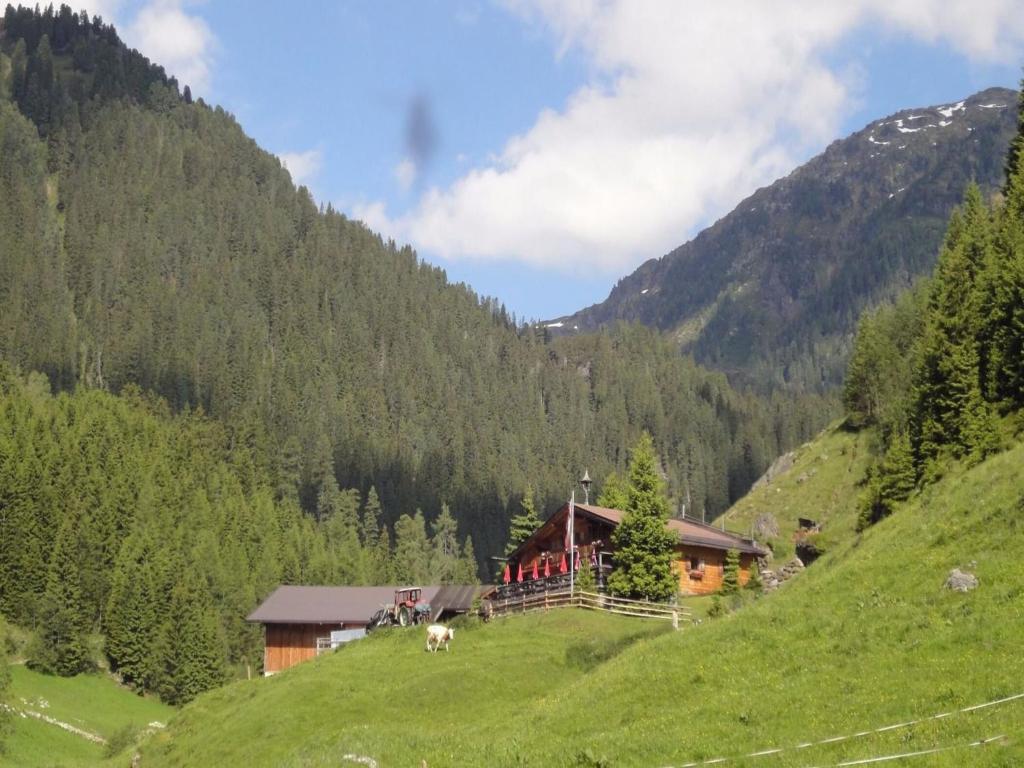 Táj Show holiday homes közelében