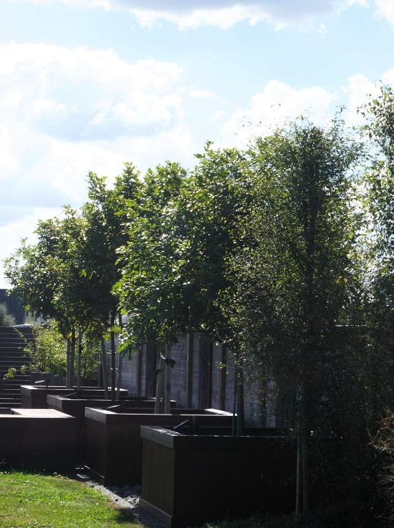 Titoki House - Bed and Breakfast - Resim 10