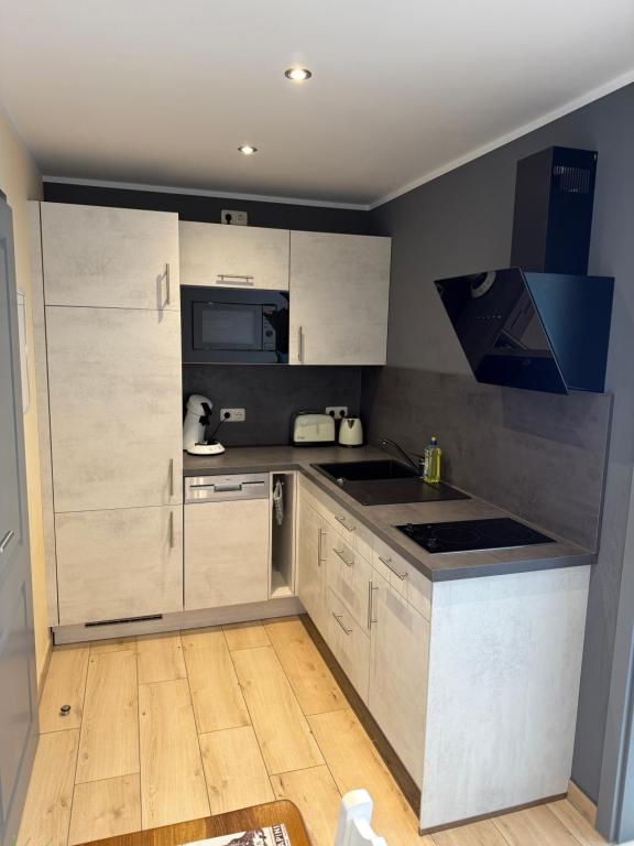 Kuchyň nebo kuchyňský kout v ubytování Aparthotel Rotheul