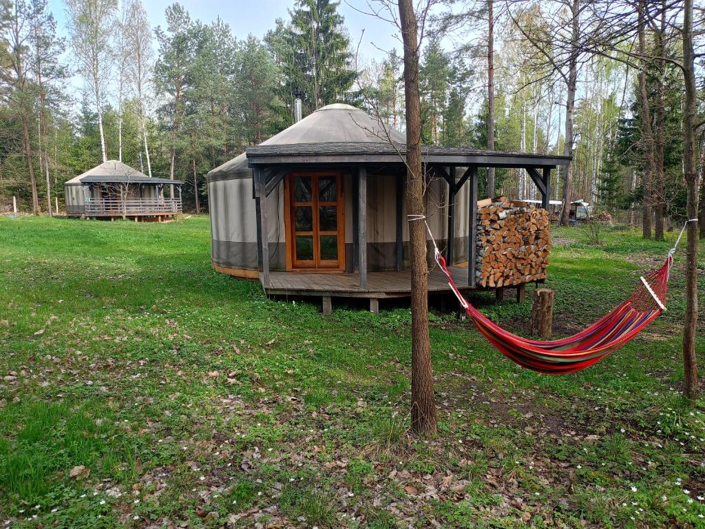 Κήπος έξω από το Jurty i namioty w Lesie KotfaLas Glamping Świętokrzyskie-SPA