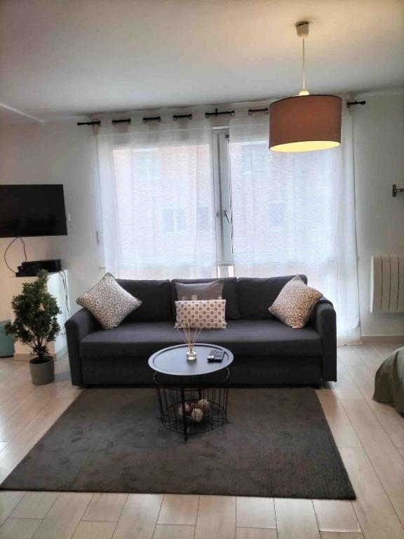 un salon avec un canapé et une table dans l'établissement Joli studio, à Lyon