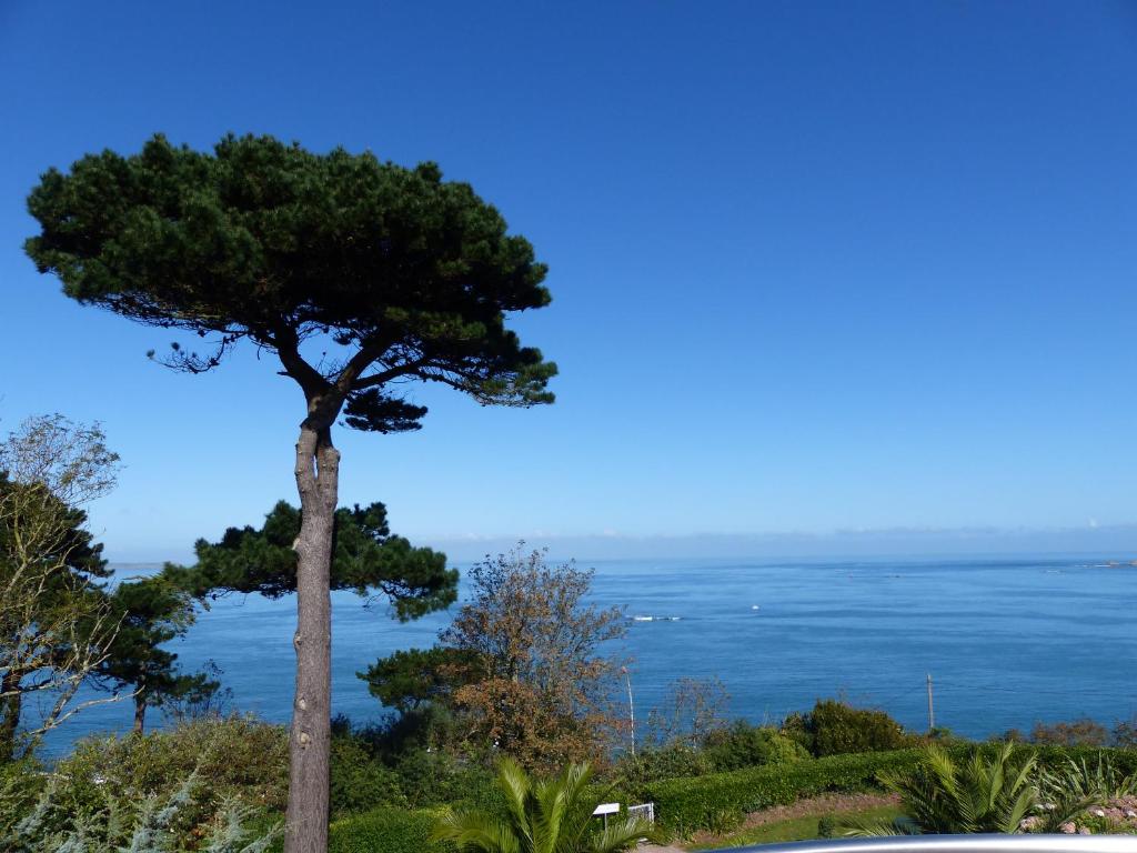 ペロス・ギレックにあるVilla Les Hydrangéasの海を背景にした丘の上の木