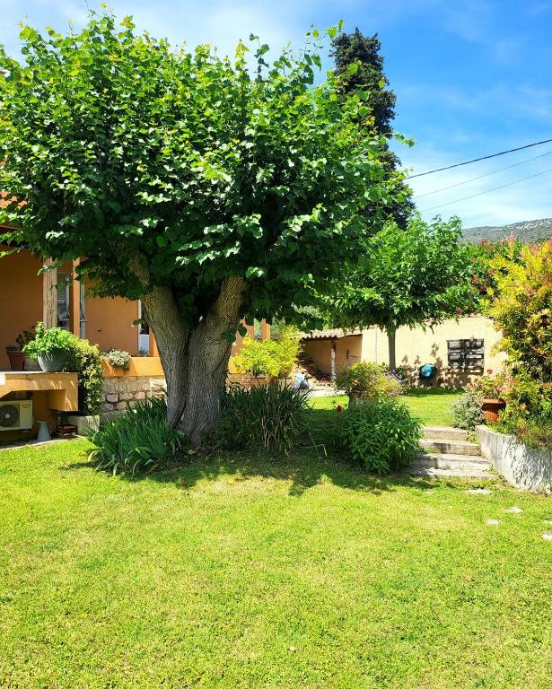 un arbre au milieu d'une cour dans l'établissement Vacation location, à Tourrette-Levens