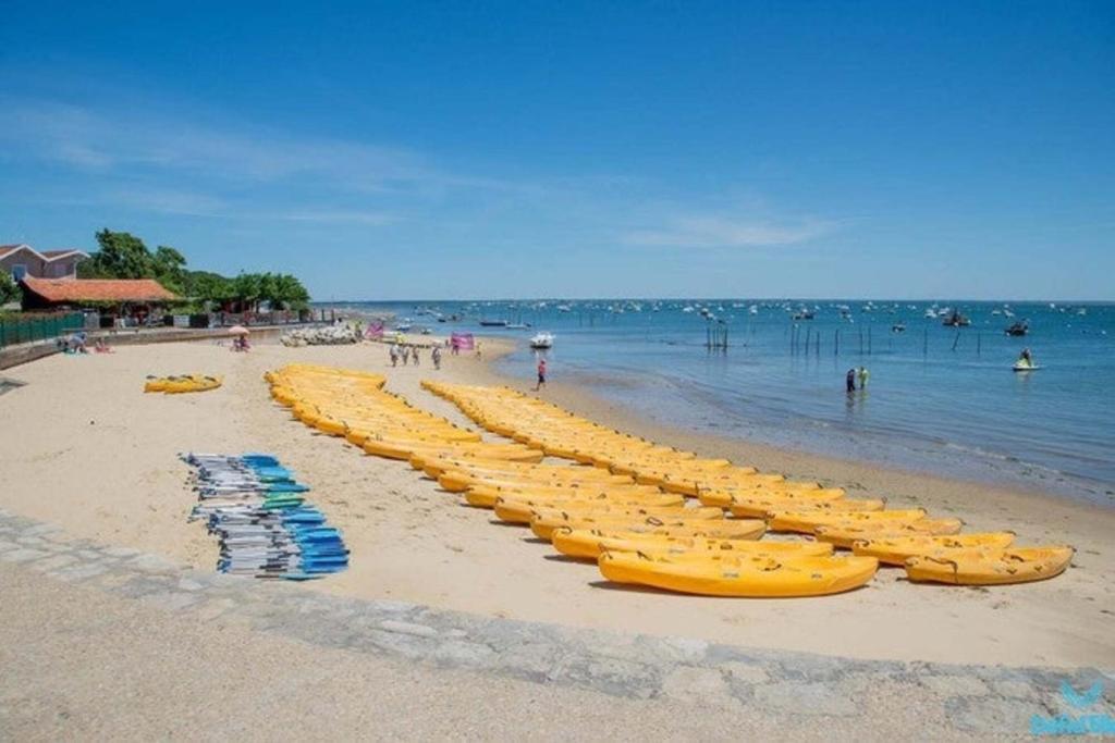 Przyroda w pobliżu tego kempingu