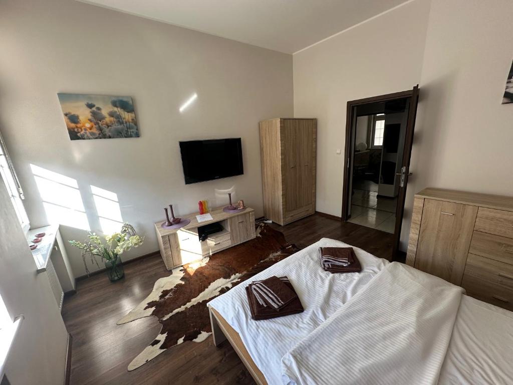 Televízia a/alebo spoločenská miestnosť v ubytovaní Gdańskie Apartamenty - Apartamenty na Świetego Ducha z 2 sypialniami