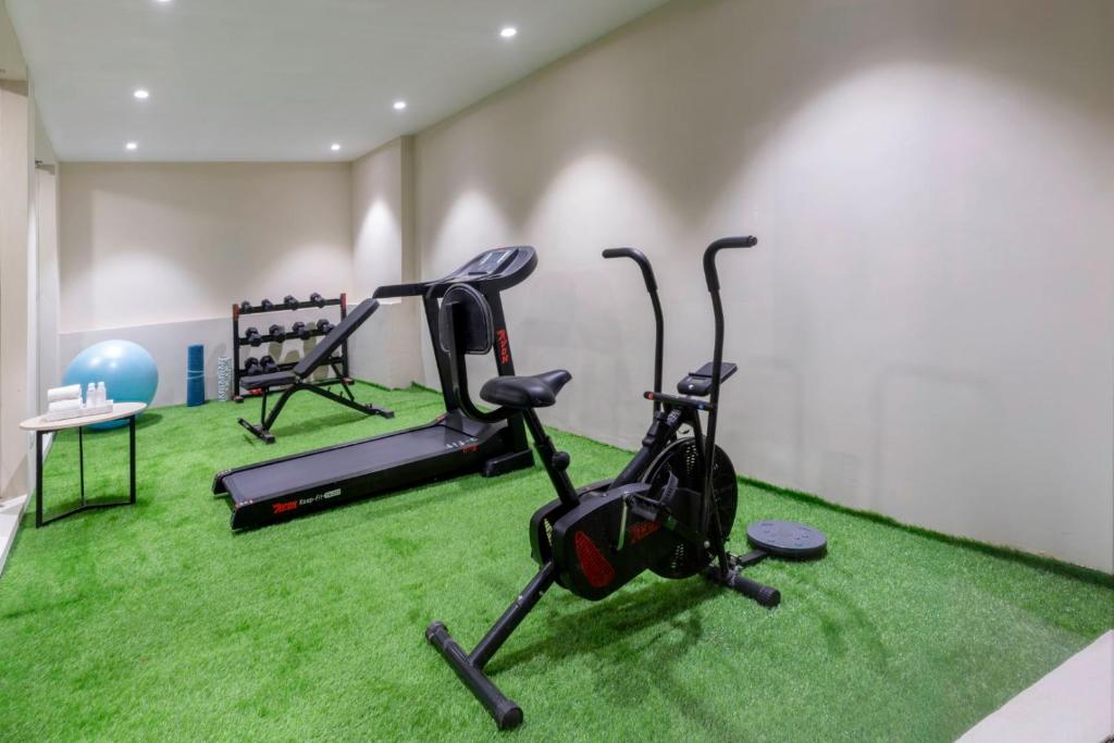 Fitness centrum a/nebo fitness zařízení v ubytování Clarks Inn Suites Agra Near Tajmahal