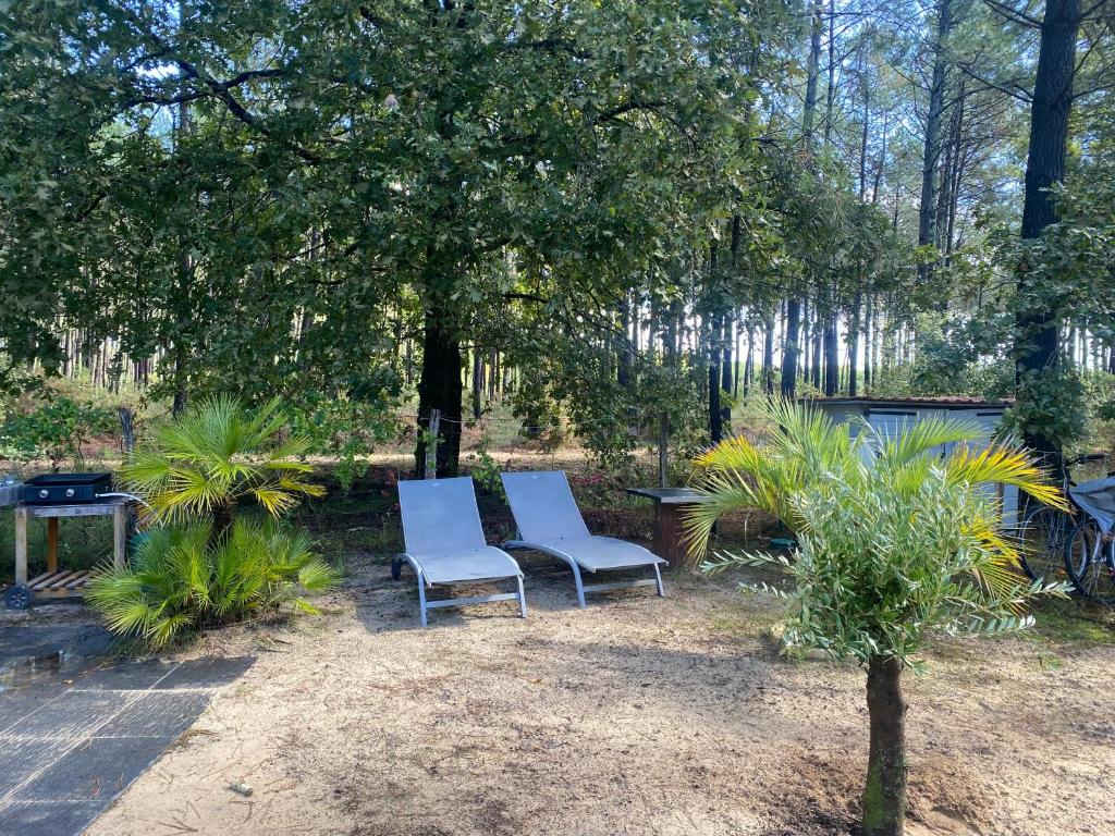 deux chaises et une table sous un arbre dans l'établissement MH 007 ELITE 3 chambres dont suite parentale et 2 salles de bain sur magnifique parcelle dans camping 4 étoiles, à Saint-Julien-en-Born