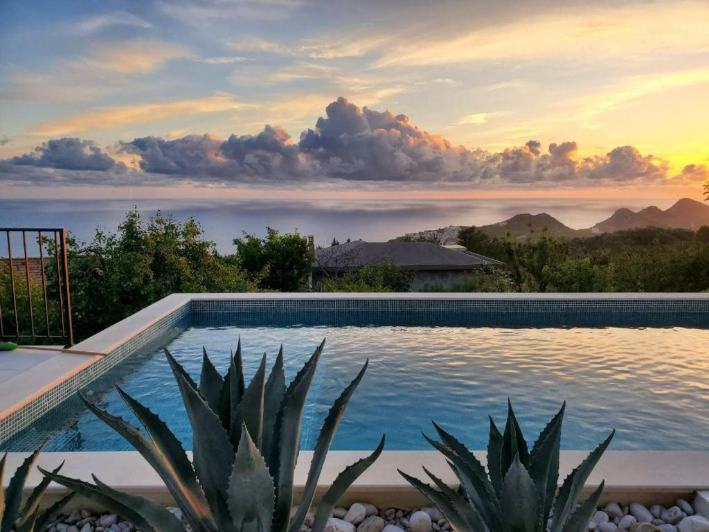 a swimming pool with a view of the ocean at Stone Villa at the Vrelo in Dobra Voda