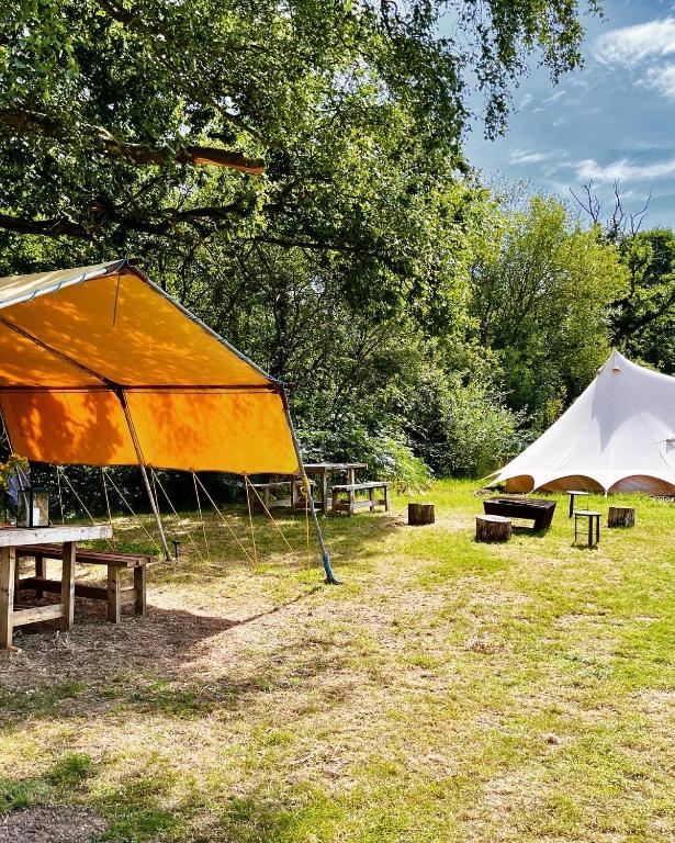 HemyockLickham Bottom Camping的一组帐篷和桌子