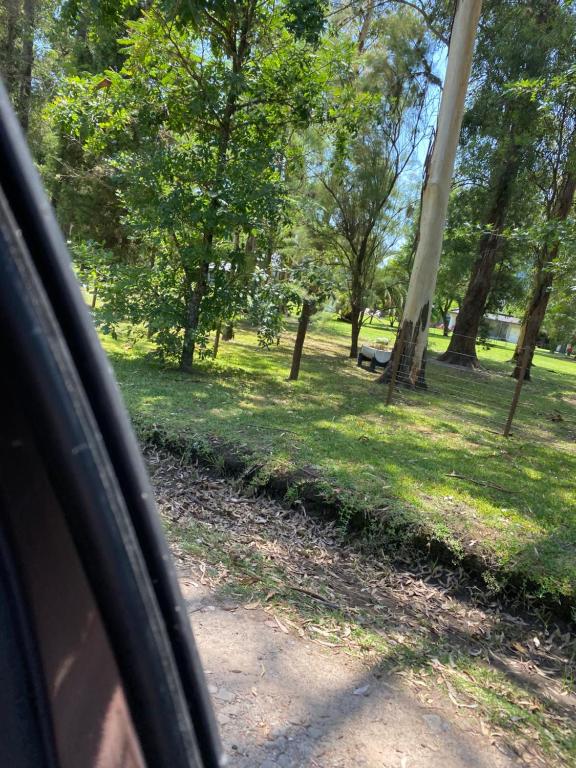 Descanso en el Bosque