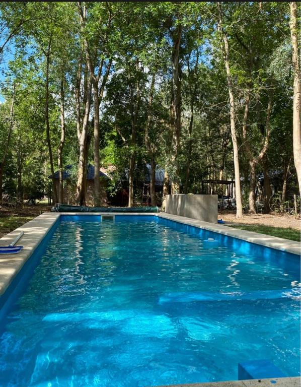 Descanso en el Bosque