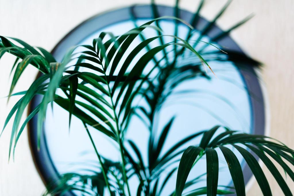 Athens Mirabello - Resim 16