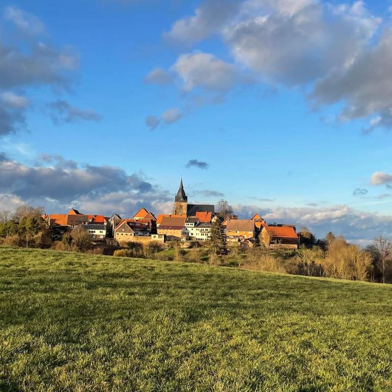 Příroda nedaleko hotelu