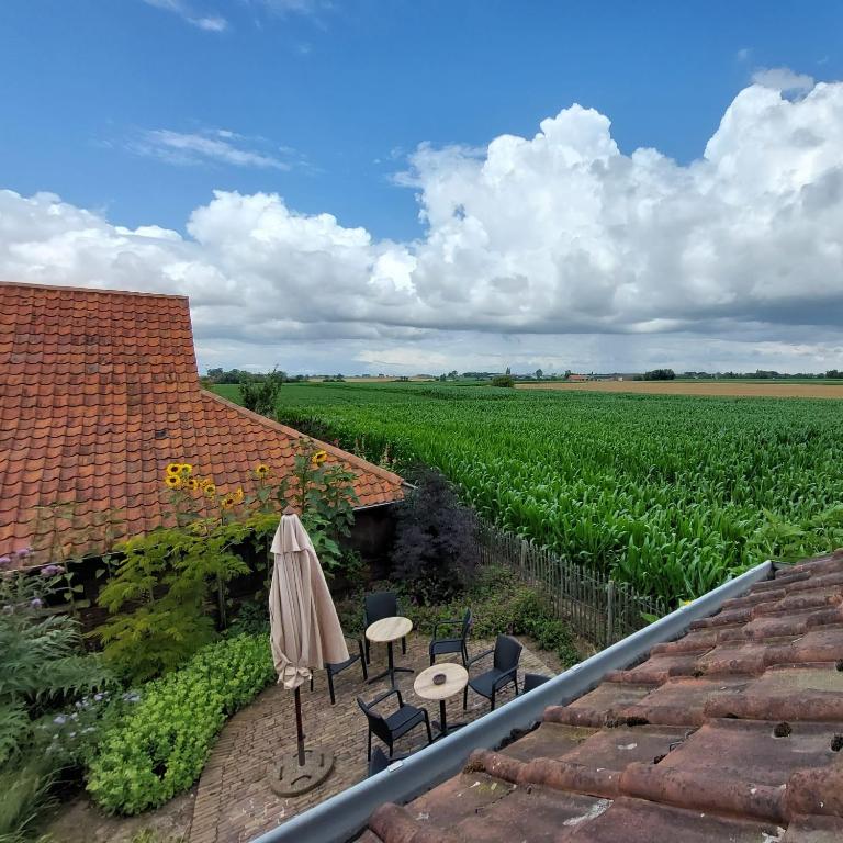 Zahrada ubytování B&B Stefans Pottery