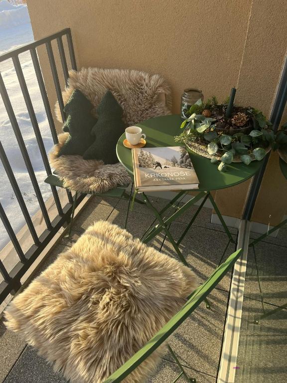 Posezení v ubytování Apartmán Dole v Dole
