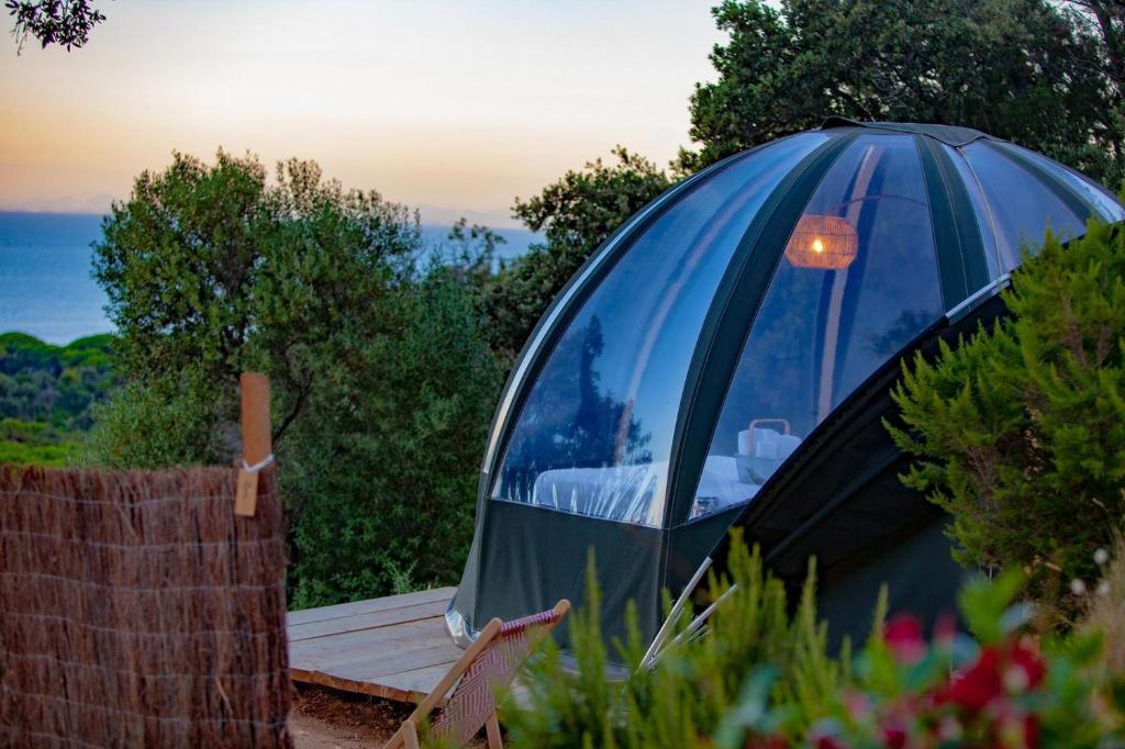 Příroda nedaleko luxury tent