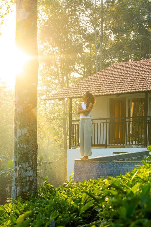 Zahrada ubytování Tealawn Pool Villa, Munnar
