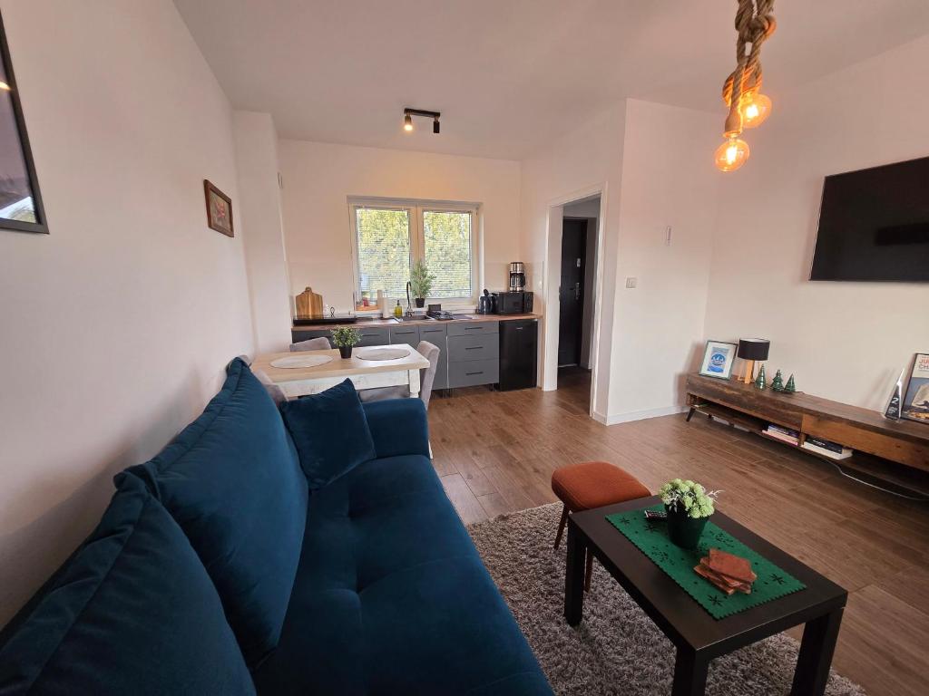 TV a/nebo společenská místnost v ubytování Apartament Danuta Mrągowo