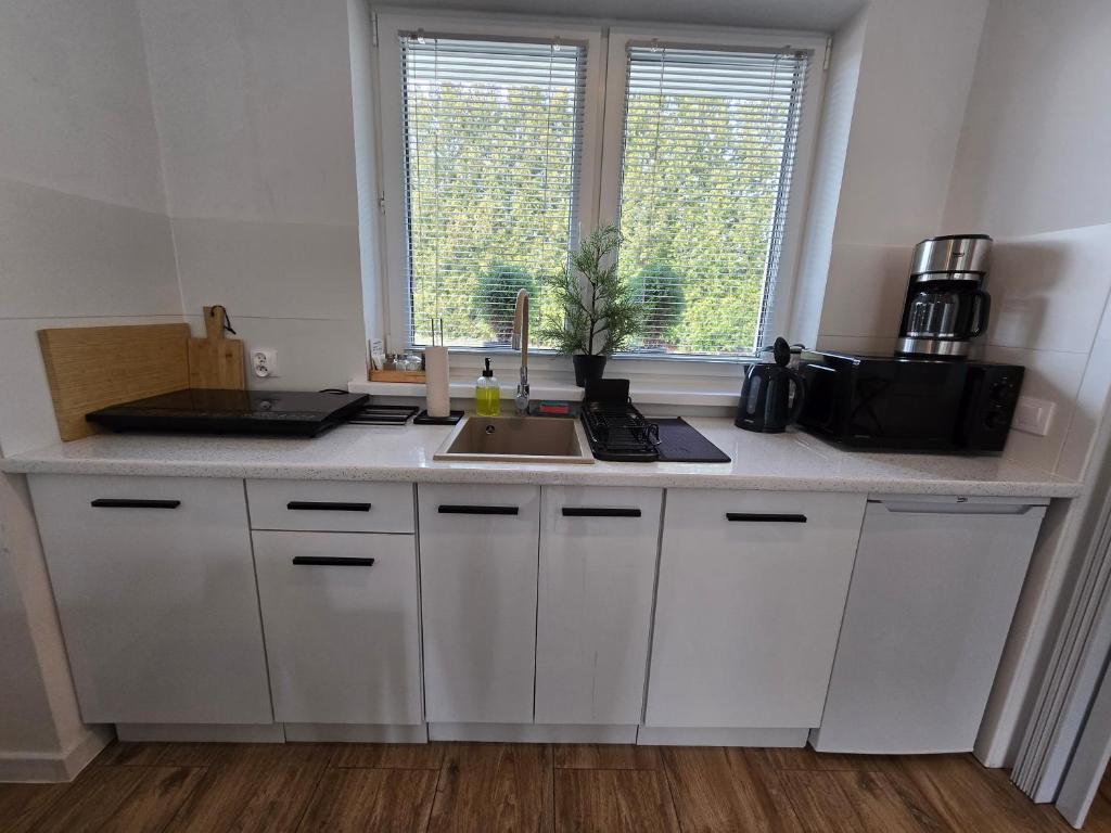 Kuchyň nebo kuchyňský kout v ubytování Apartament Danuta Mrągowo