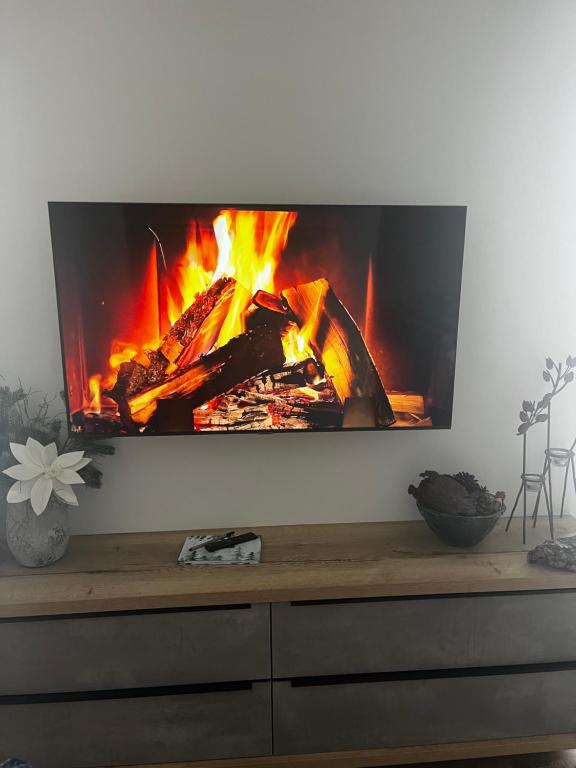 TV a/nebo společenská místnost v ubytování Apartmán Dole v Dole