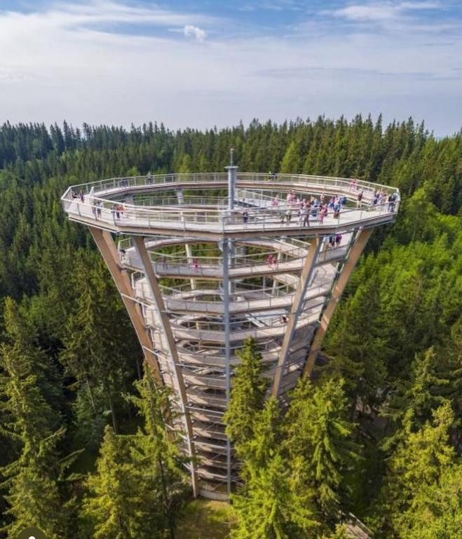 Příroda nedaleko apartmánu