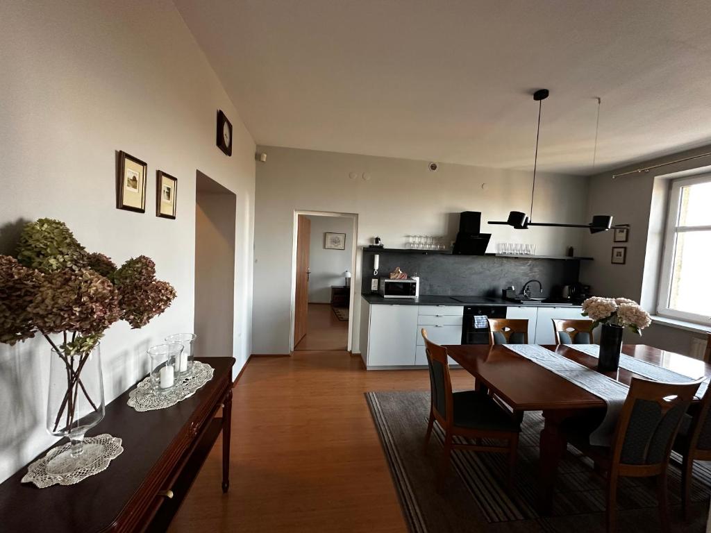 Kuchyňa alebo kuchynka v ubytovaní apartament Mysłowice