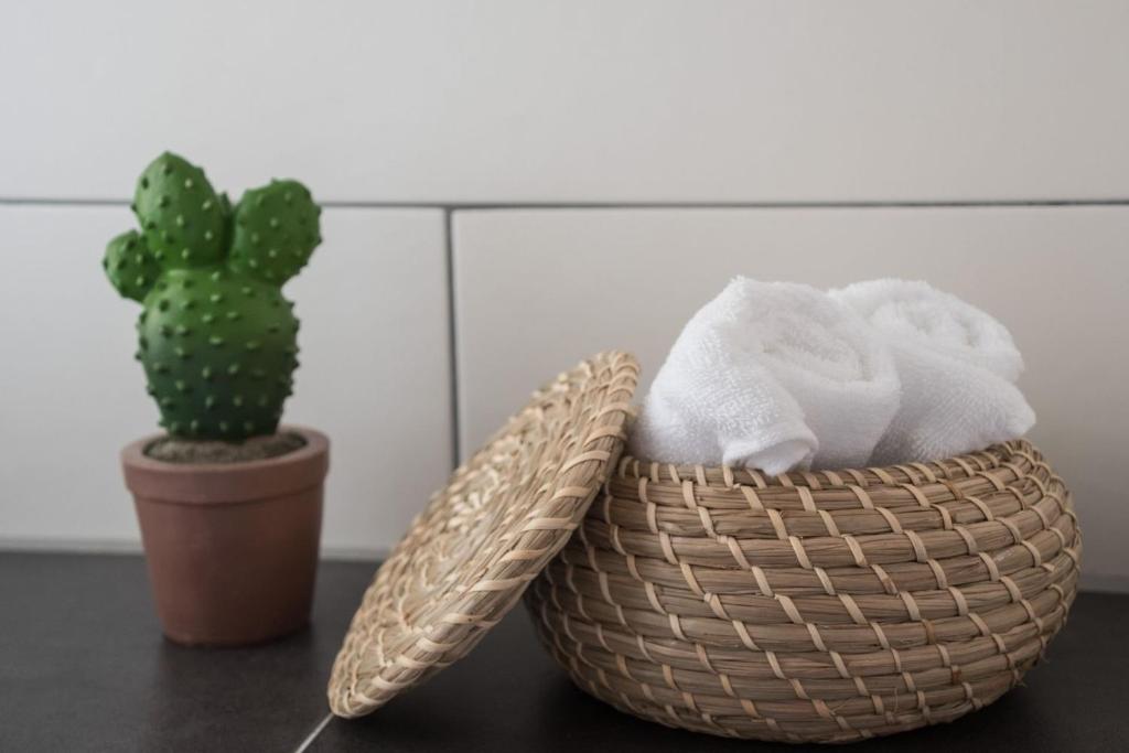 IgersheimにあるApartment 09のサボテンの横に置かれたタオル入り