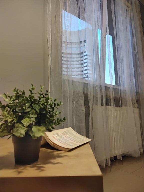 Fotografie z fotogalerie ubytování Old town Bucharest- Shared Apartment v Bukurešti