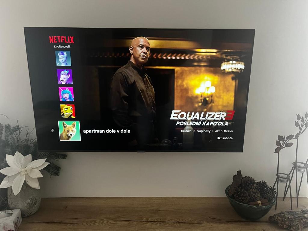 TV a/nebo společenská místnost v ubytování Apartmán Dole v Dole