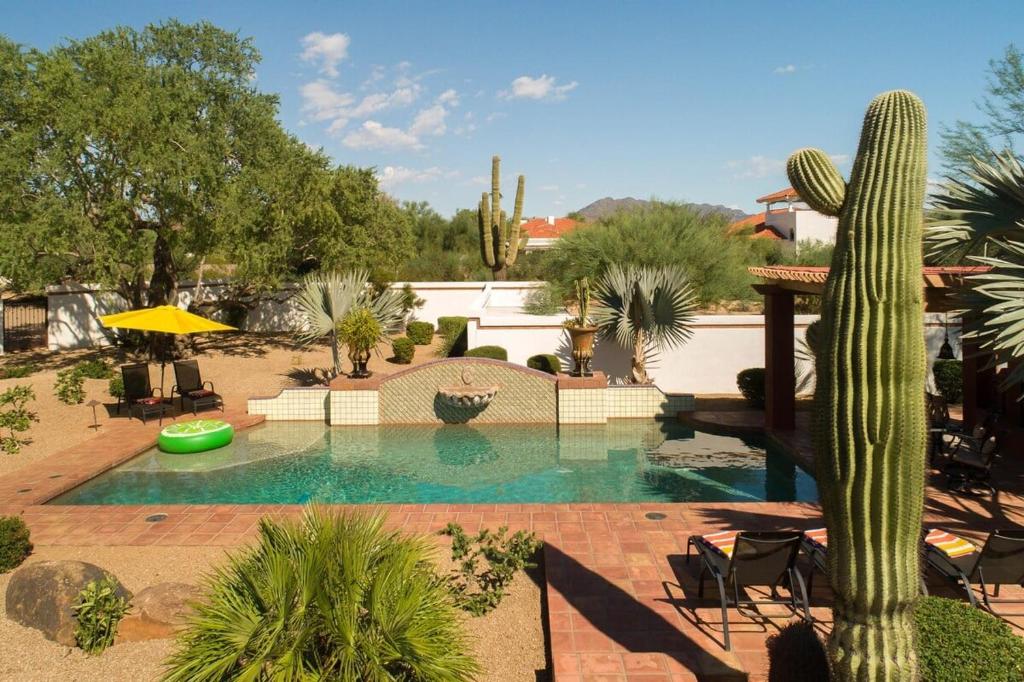 - une piscine avec un cactus dans une cour dans l'établissement Alameda, à Scottsdale