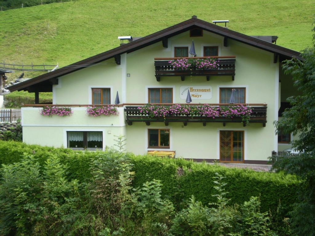 een gebouw met bloembakken aan de zijkant bij Pension Herzoggut in Zell am See