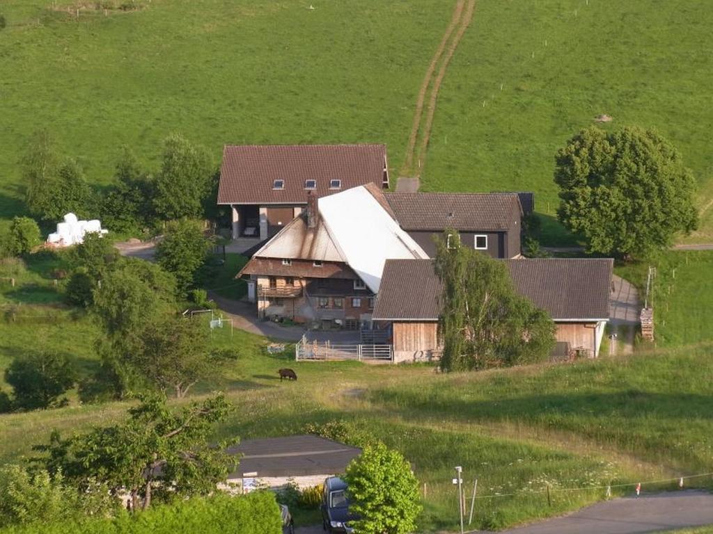 eine Luftansicht eines Hauses auf einem Feld in der Unterkunft Höflebauer in Schonach