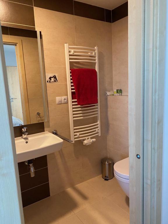 Koupelna v ubytování Penthouse mit Balkon in zentraler Lage in Pilsen