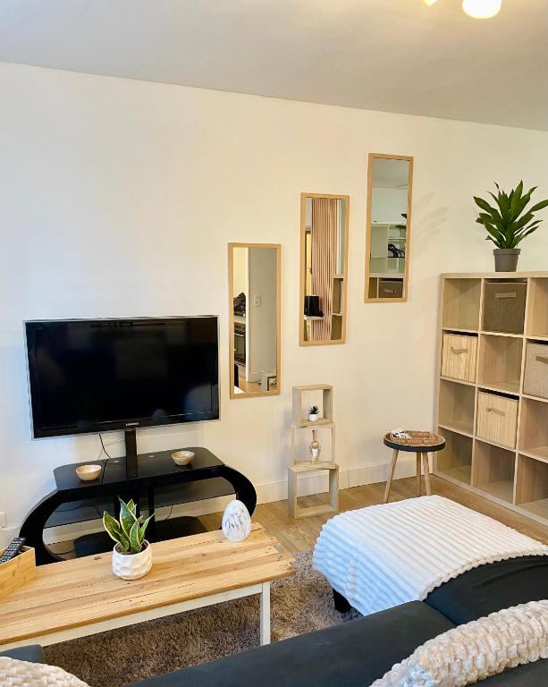 un salon avec une grande télévision à écran plat dans l'établissement Grand studio Ô Joie, à Auxerre