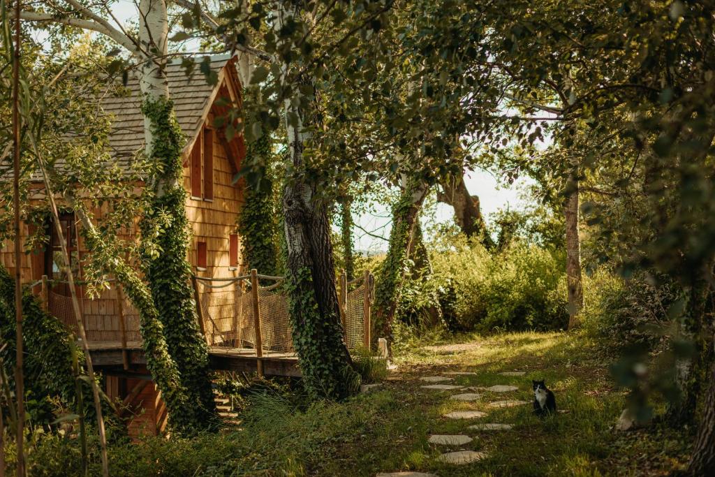 un gato caminando por un camino junto a una casa en Cabane La Fontaine du Figuier, en Saint-Maurice-sur-Eygues