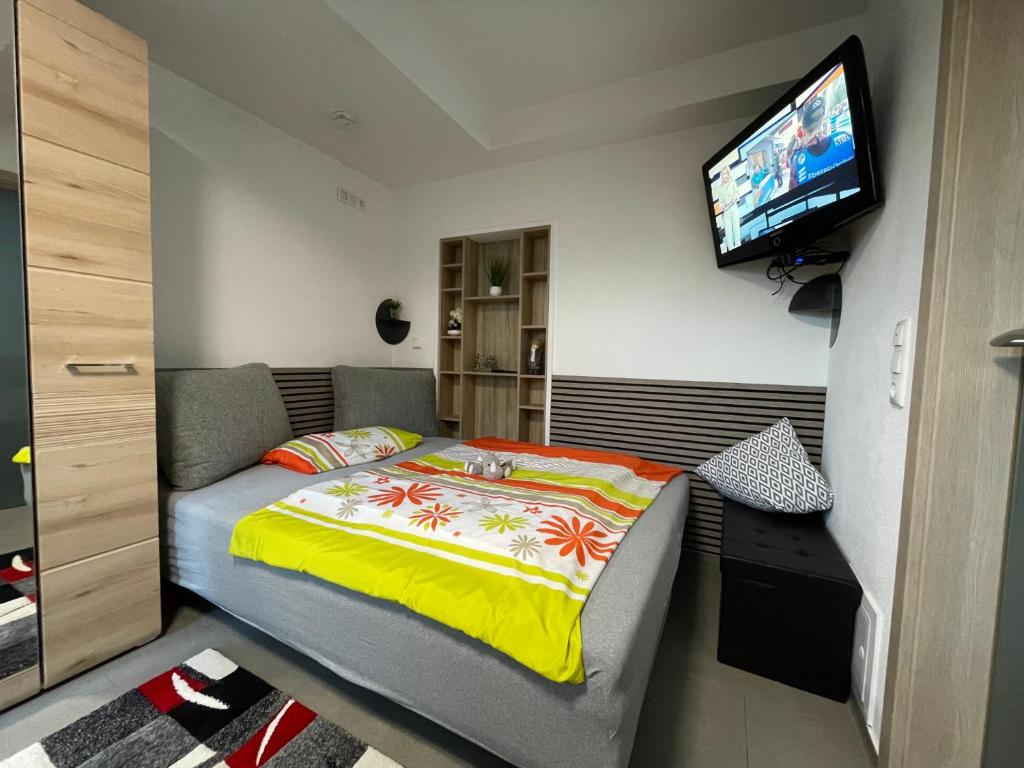 a bedroom with a bed and a flat screen tv at 1 Zimmer Apartment in Buchenrod Flieden in Flieden