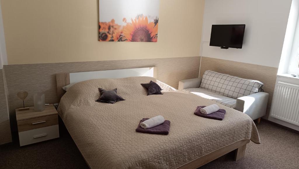 Postel nebo postele na pokoji v ubytování Apartmány Svítkov 79