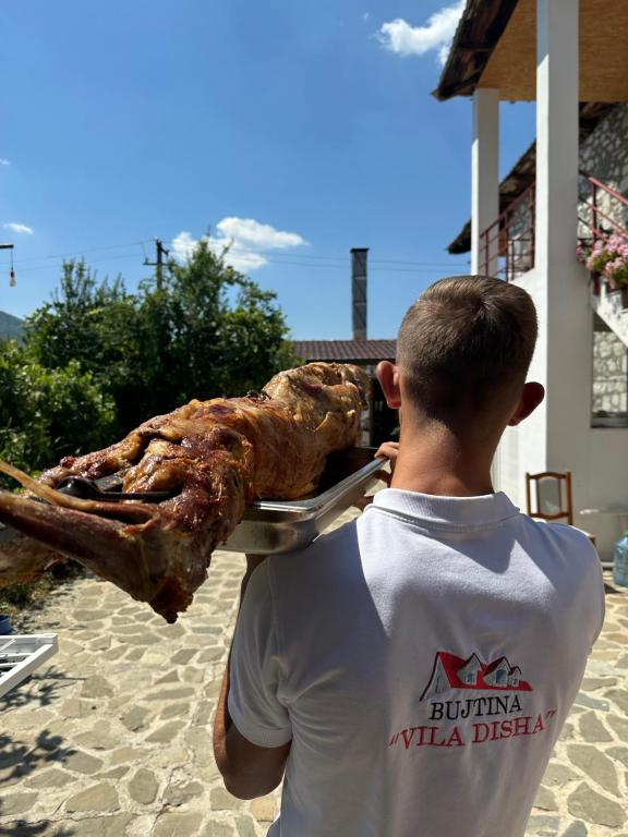 Hosté ubytování VILA DISHA