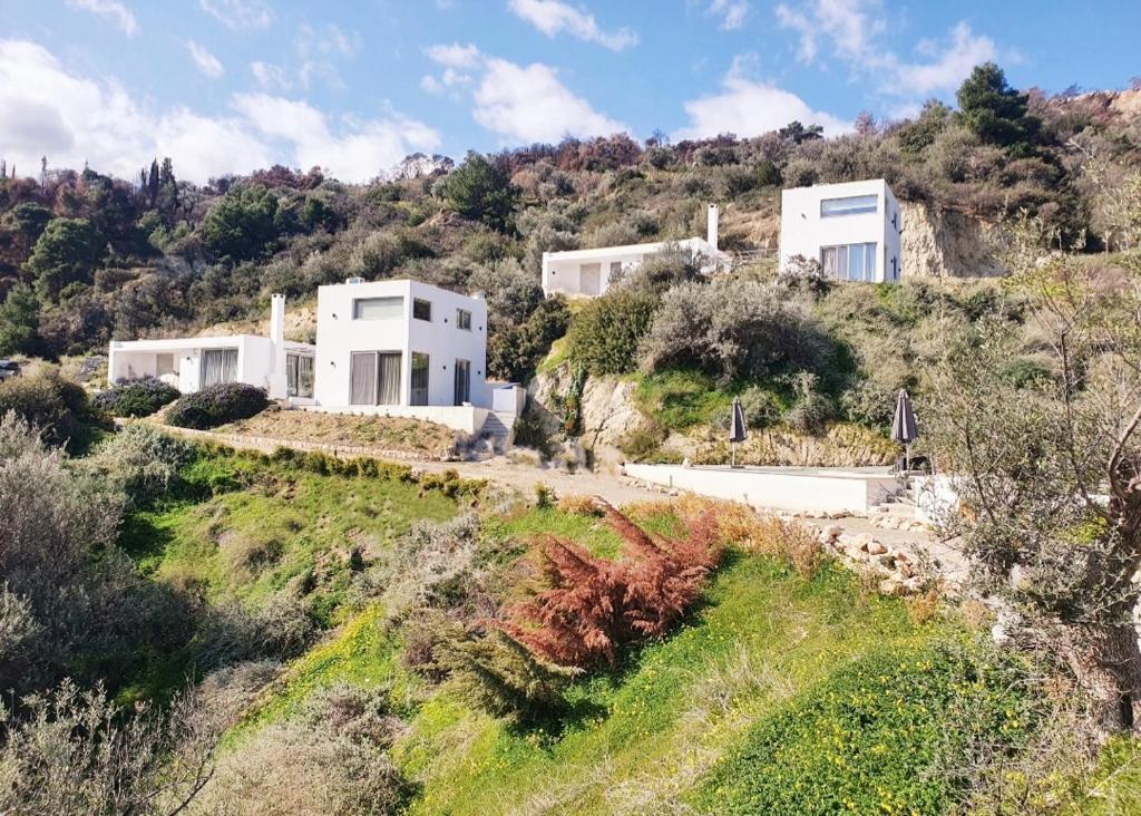 Foto dalla galleria di Evoikon a Liyiá