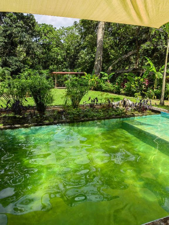 Bazén v ubytování Treehouse Tayrona nebo v jeho okolí