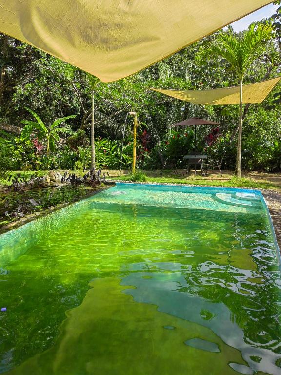 Bazén v ubytování Treehouse Tayrona nebo v jeho okolí