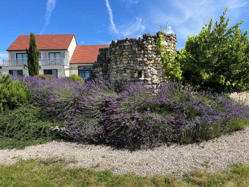 Zahrada ubytování Les Etoiles de Calès - chambres d'hôtes de charme près de Rocamadour au coeur du Parc Naturel des Causses du Quercy