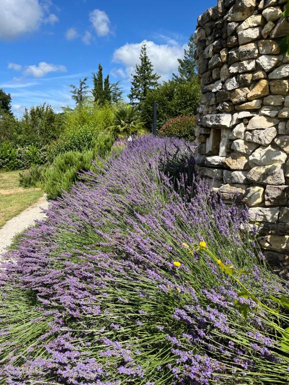 Zahrada ubytování Les Etoiles de Calès - chambres d'hôtes de charme près de Rocamadour au coeur du Parc Naturel des Causses du Quercy