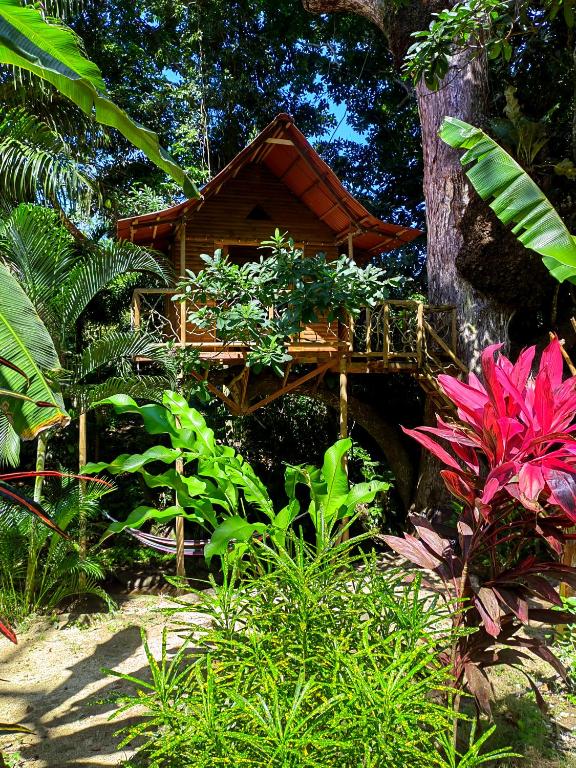 Zahrada ubytování Treehouse Tayrona