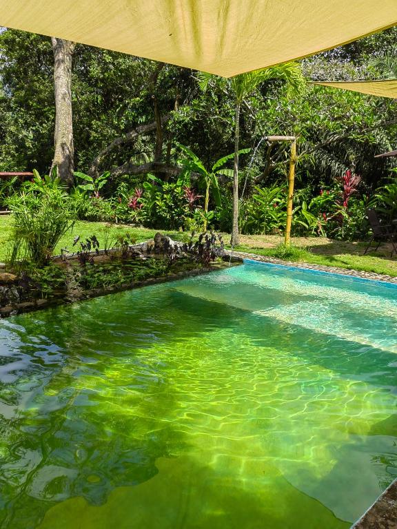 Bassein majutusasutuses Treehouse Tayrona või selle lähedal